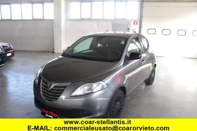 Lancia Ypsilon 1.2 69 CV 5 porte Elefantino del 2014 usata a Orvieto
