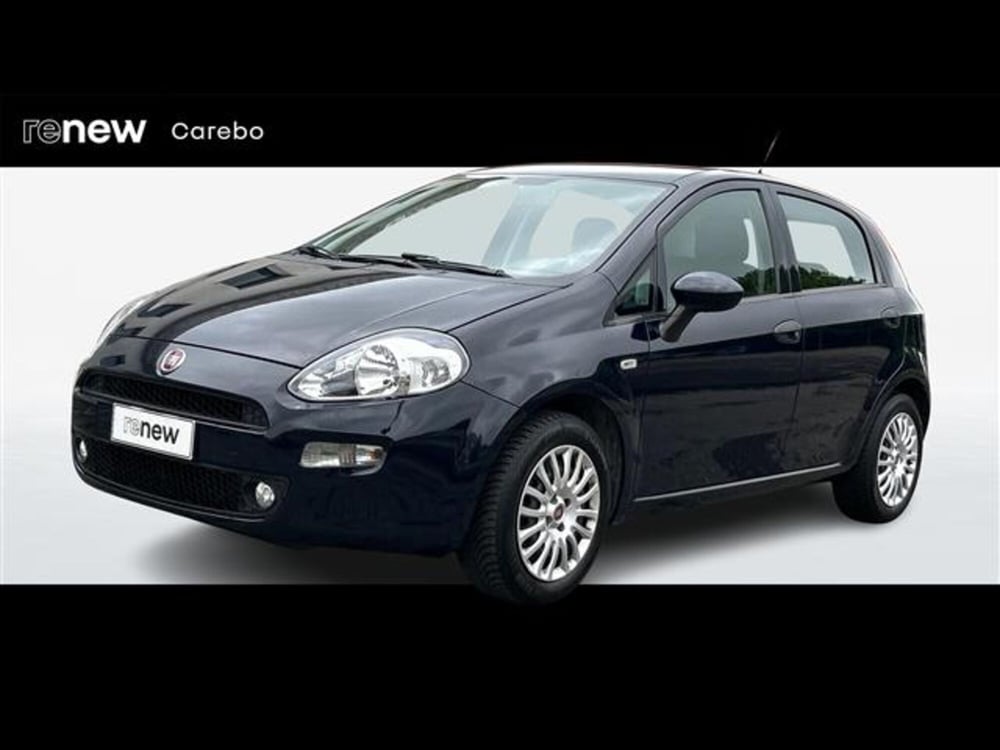 Fiat Punto usata a Parma