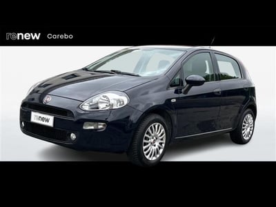 Fiat Punto 1.2 8V 5 porte Young del 2016 usata a Parma