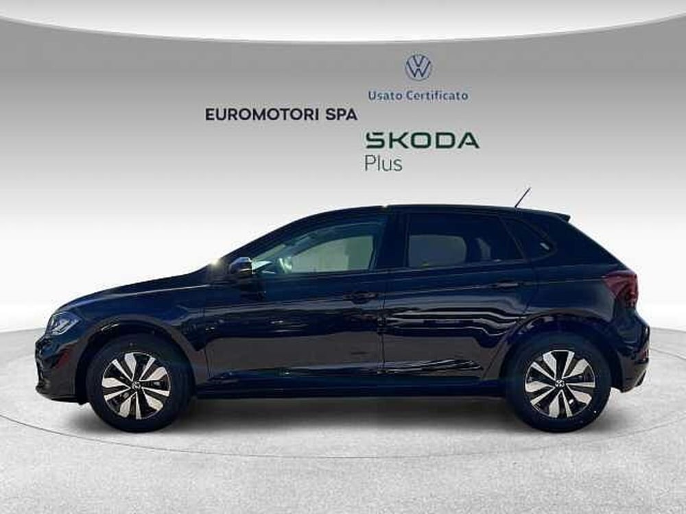 Volkswagen Polo nuova a Grosseto (2)