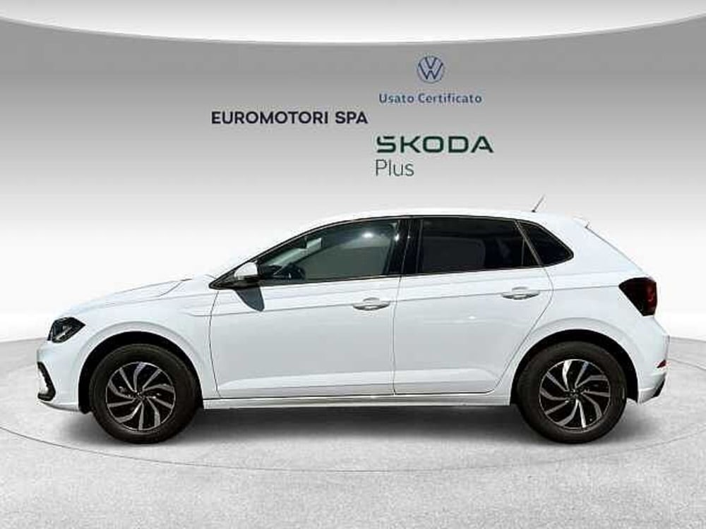Volkswagen Polo nuova a Grosseto (2)