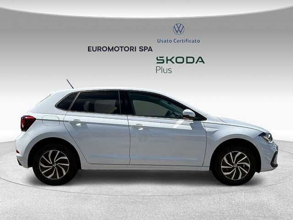Volkswagen Polo nuova a Grosseto (5)