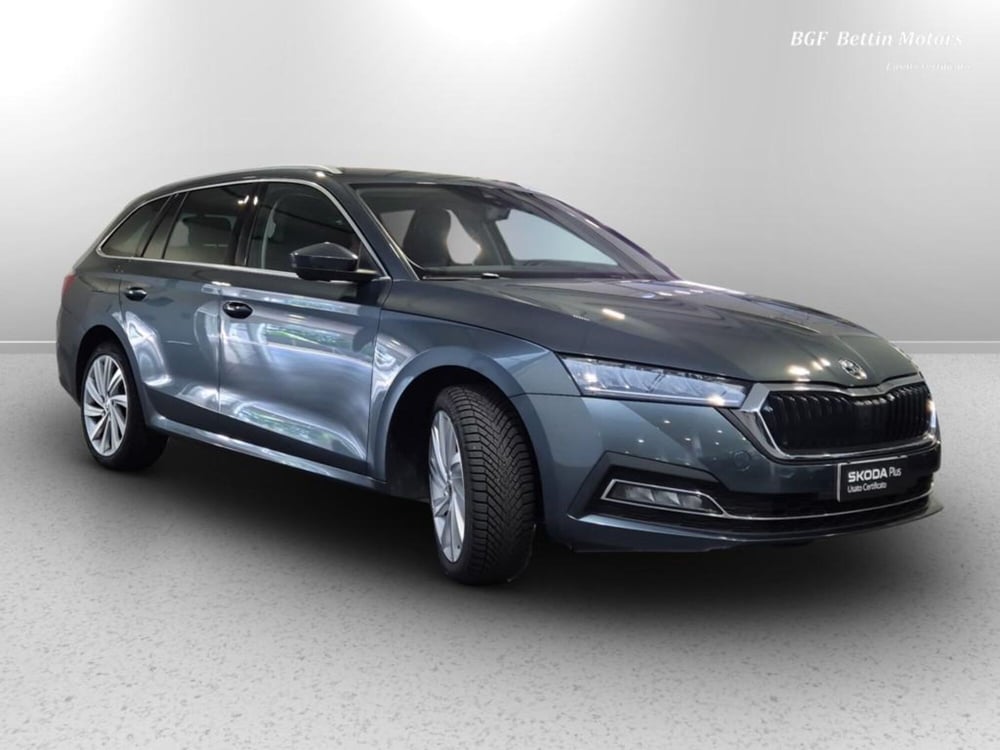 Skoda Octavia Station Wagon usata a Padova (6)