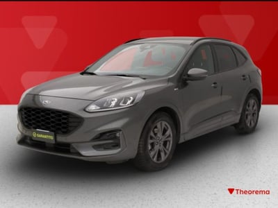 Ford Kuga 1.5 EcoBlue 120 CV 2WD ST-Line del 2022 usata a Torino