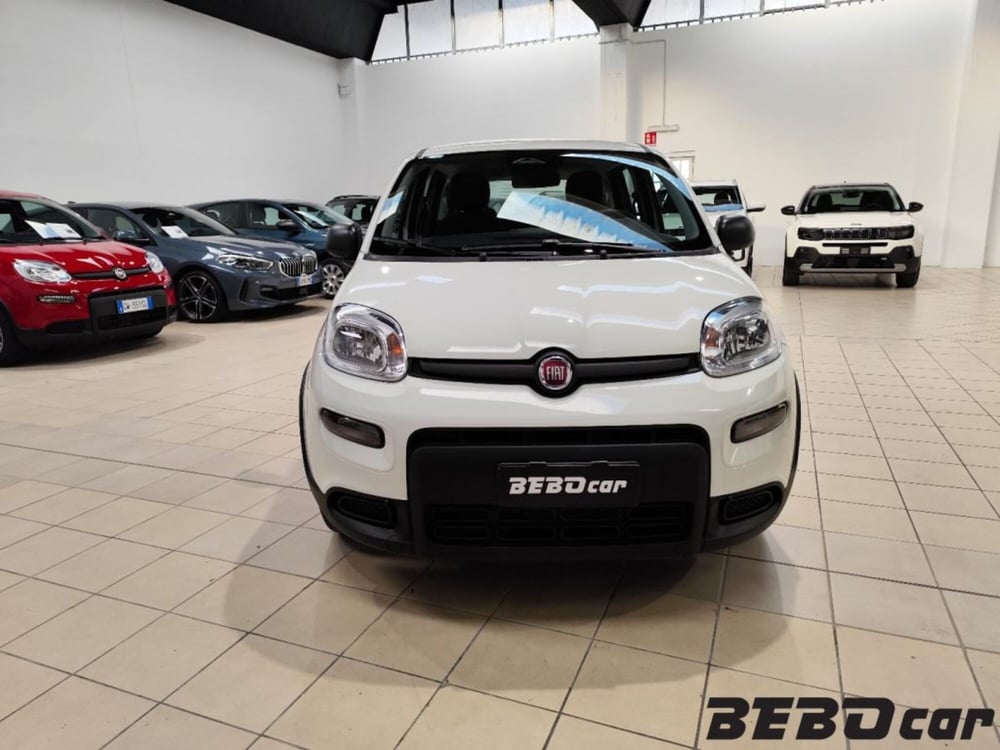 Fiat Panda Cross nuova a Torino (2)
