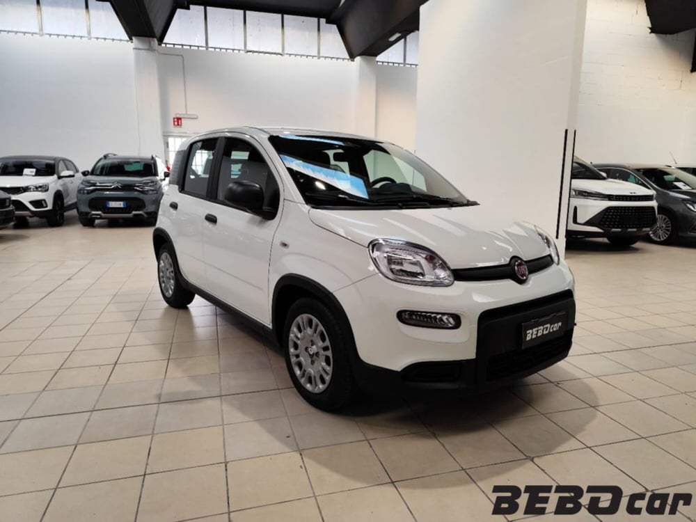 Fiat Panda Cross nuova a Torino (3)