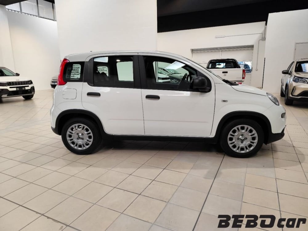 Fiat Panda Cross nuova a Torino (4)