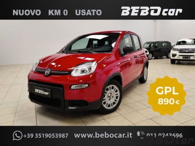 Fiat Panda Cross Cross 1.0 FireFly S&amp;S Hybrid nuova a Collegno