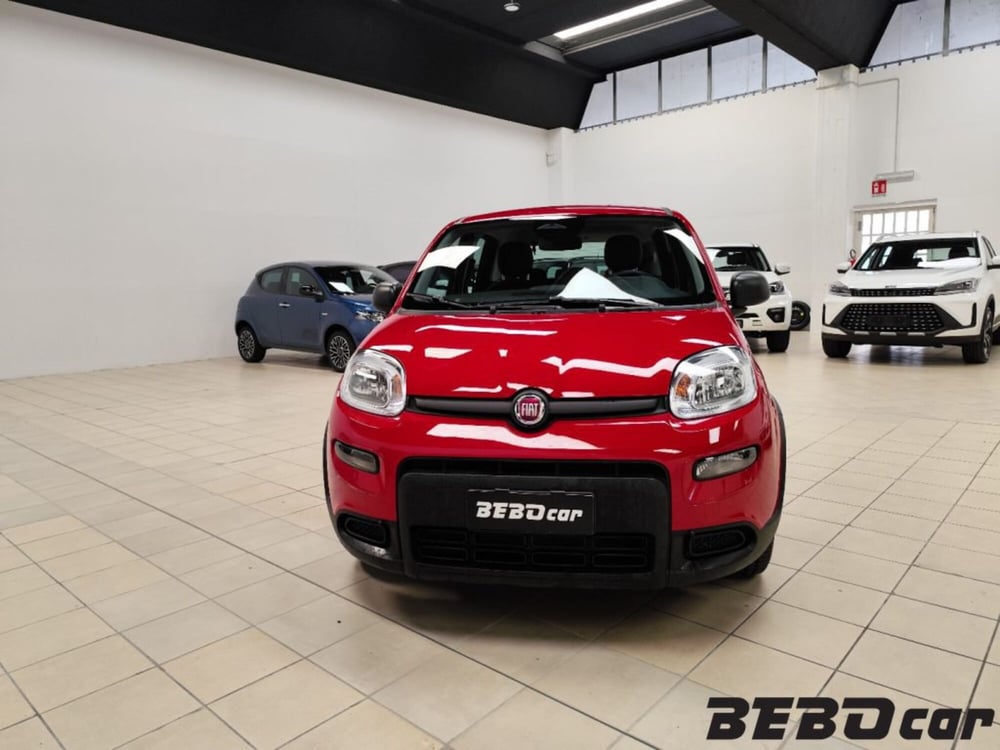 Fiat Panda Cross nuova a Torino (2)
