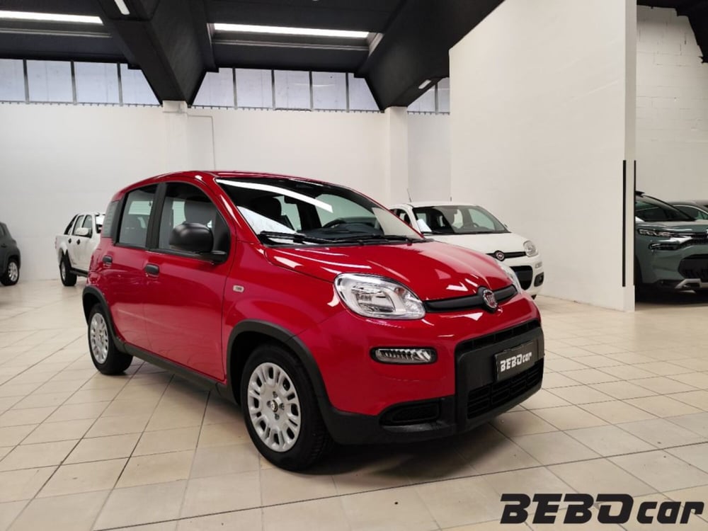 Fiat Panda Cross nuova a Torino (3)