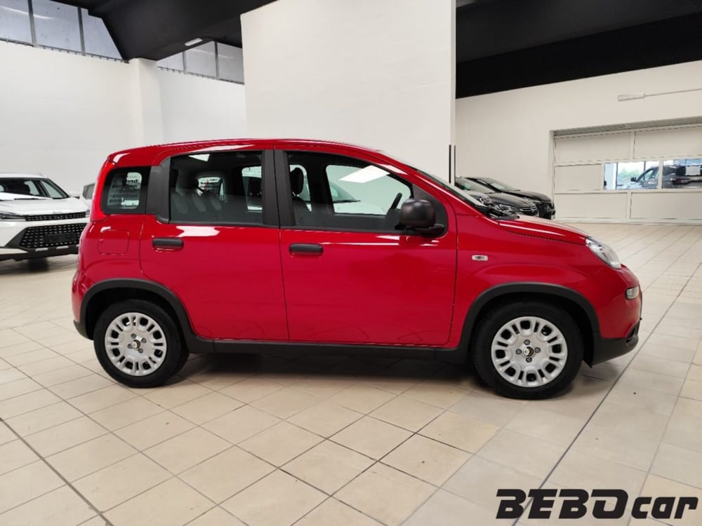 Fiat Panda Cross nuova a Torino (4)