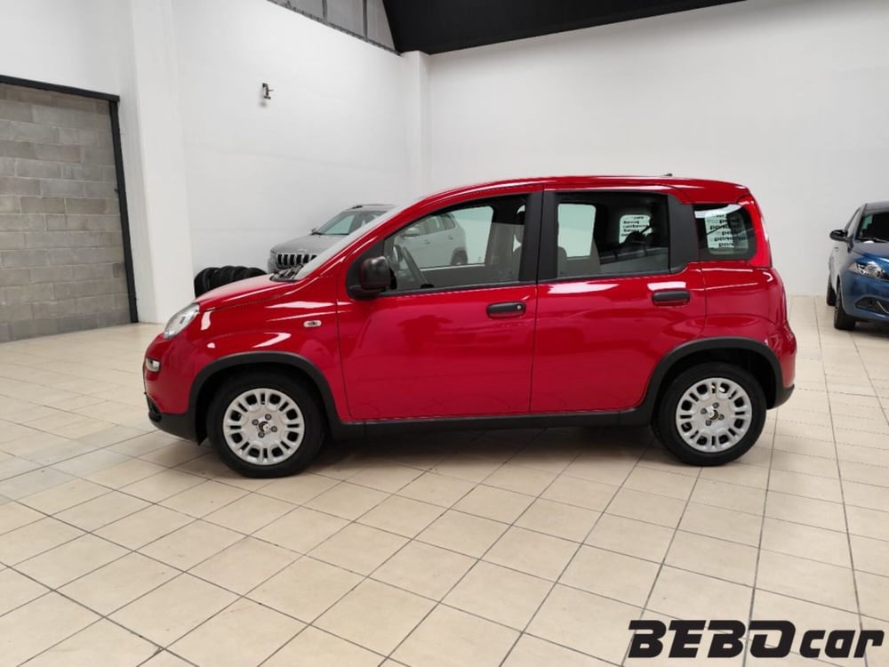 Fiat Panda Cross nuova a Torino (9)