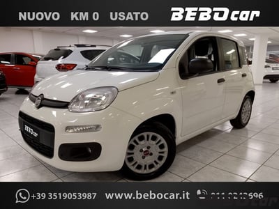 Fiat Panda 1.2 EasyPower del 2020 usata a Collegno