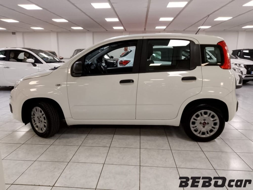 Fiat Panda usata a Torino (2)