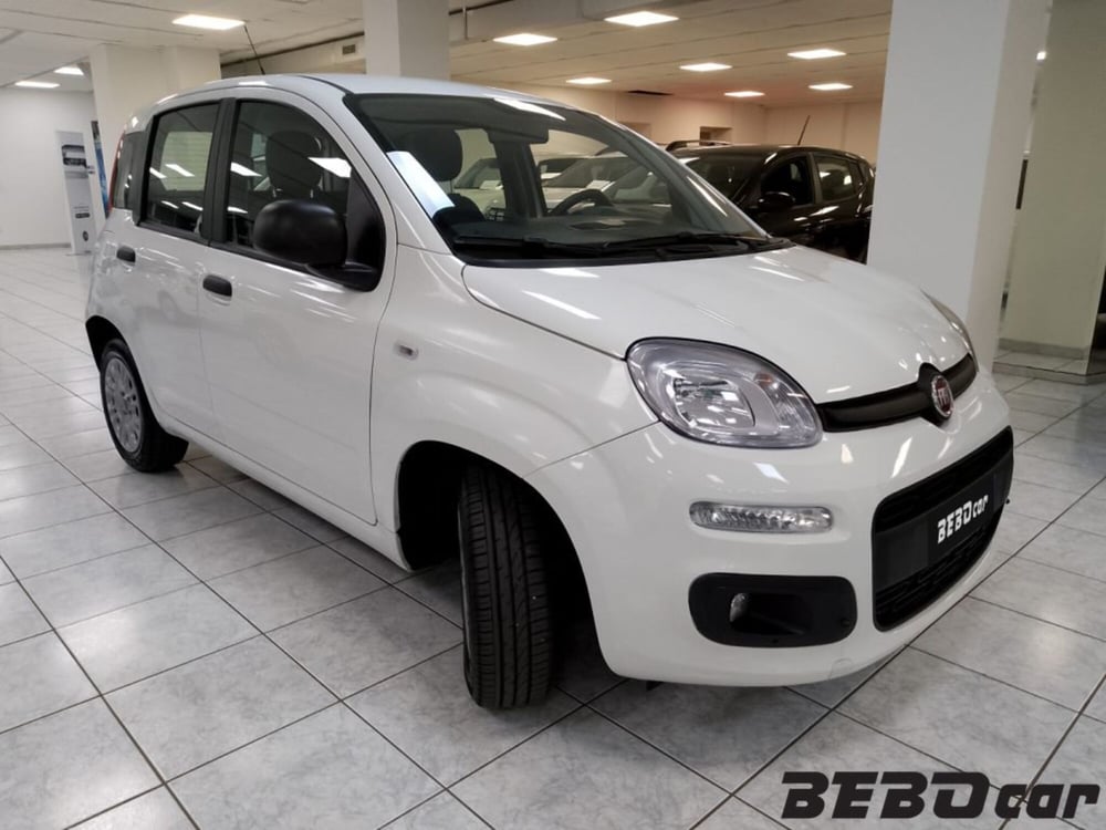 Fiat Panda usata a Torino (6)