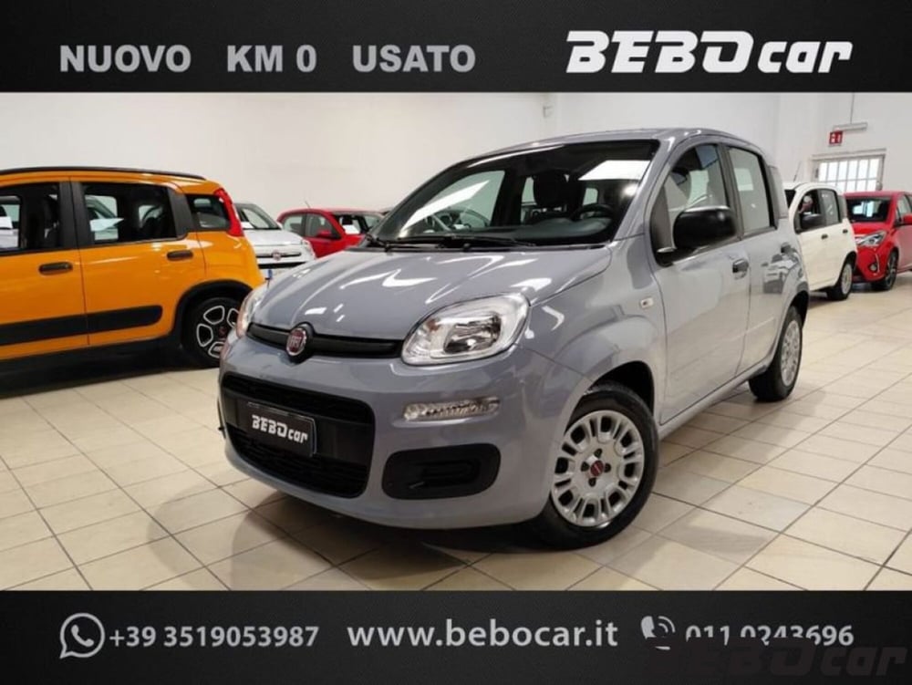 Fiat Panda Cross usata a Torino