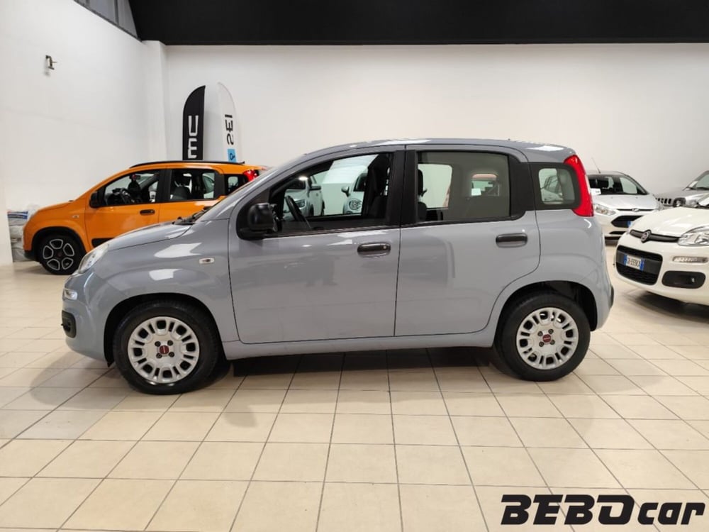 Fiat Panda Cross usata a Torino (10)