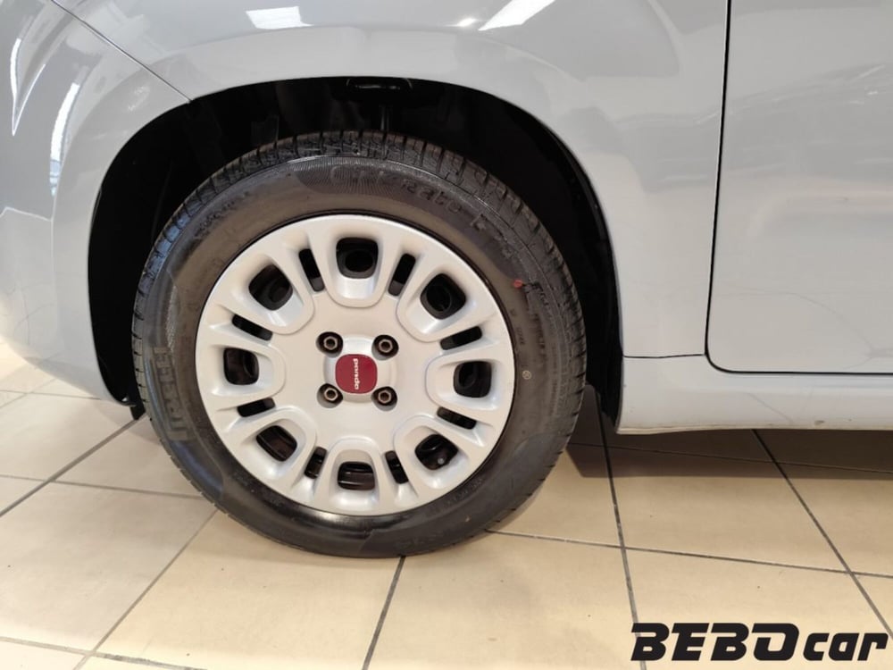 Fiat Panda Cross usata a Torino (11)