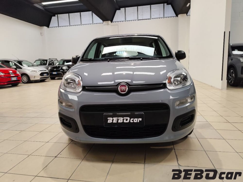Fiat Panda Cross usata a Torino (2)