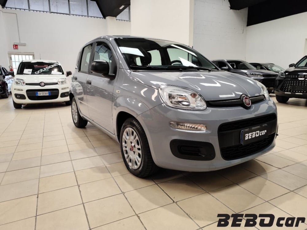 Fiat Panda Cross usata a Torino (3)