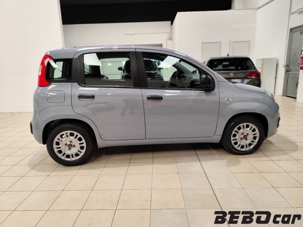 Fiat Panda Cross usata a Torino (4)