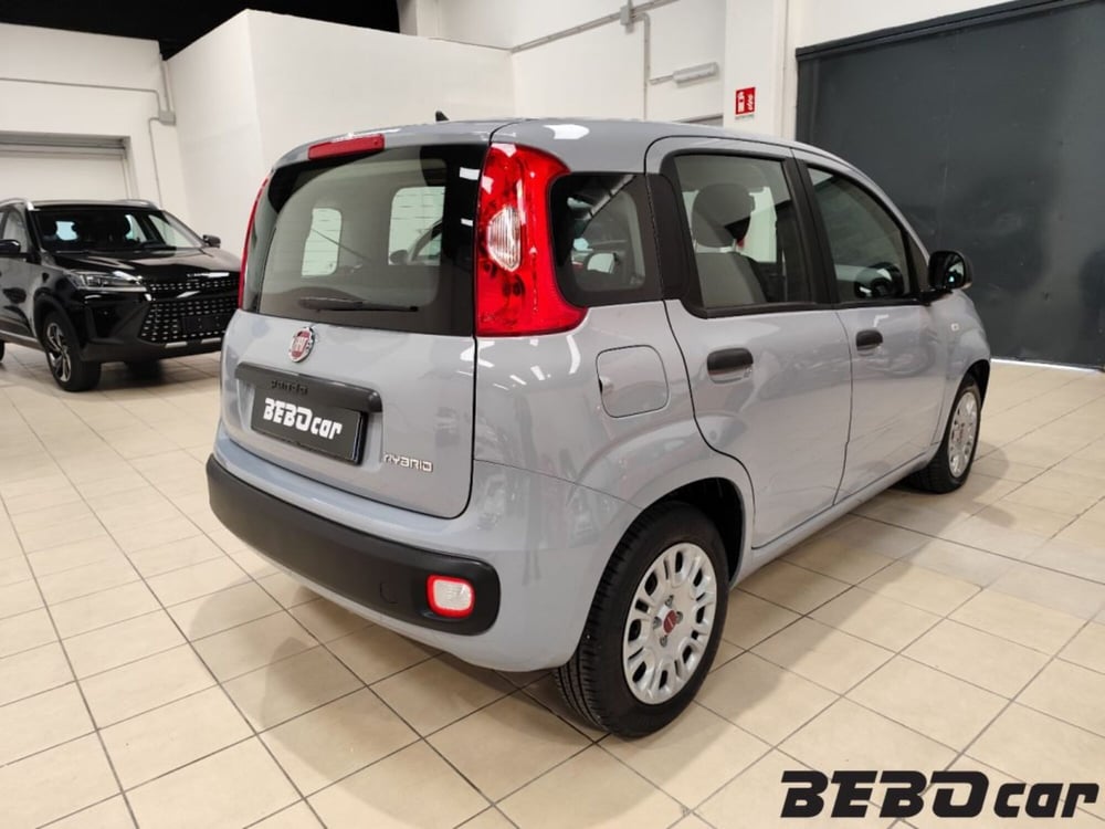 Fiat Panda Cross usata a Torino (5)