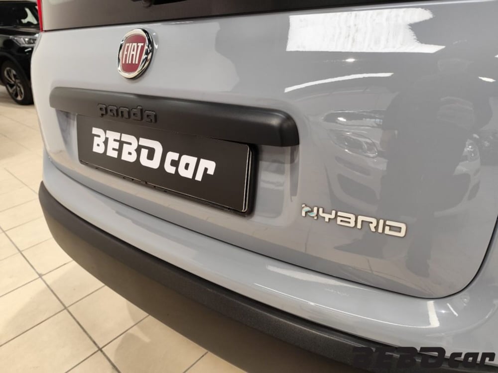 Fiat Panda Cross usata a Torino (6)