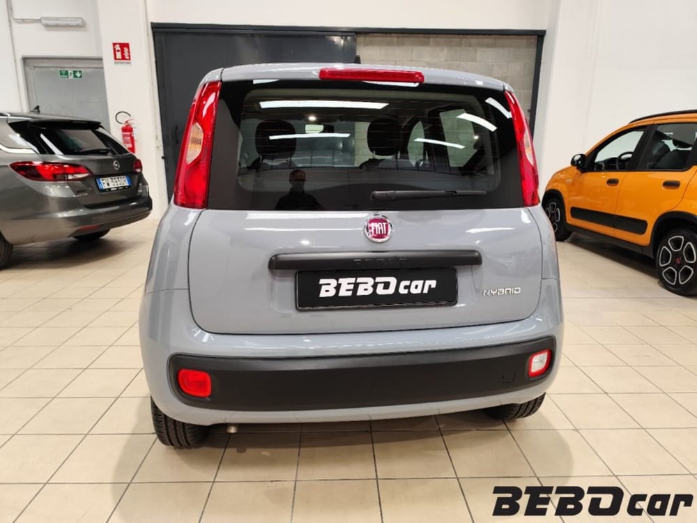 Fiat Panda Cross usata a Torino (7)