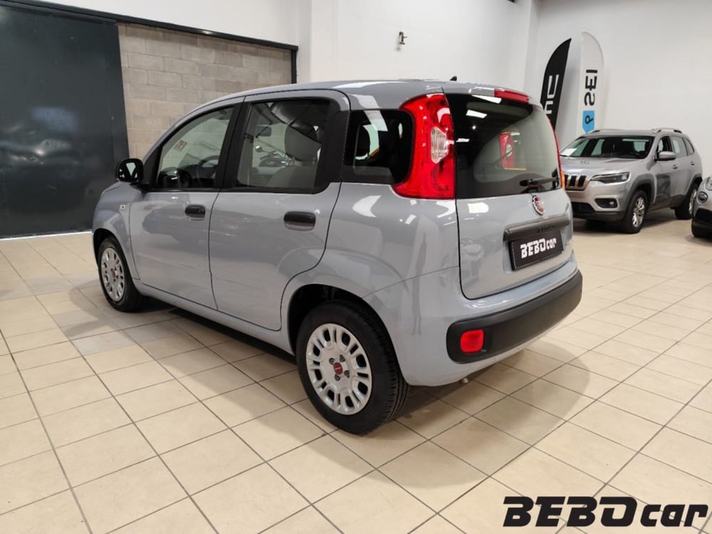 Fiat Panda Cross usata a Torino (9)