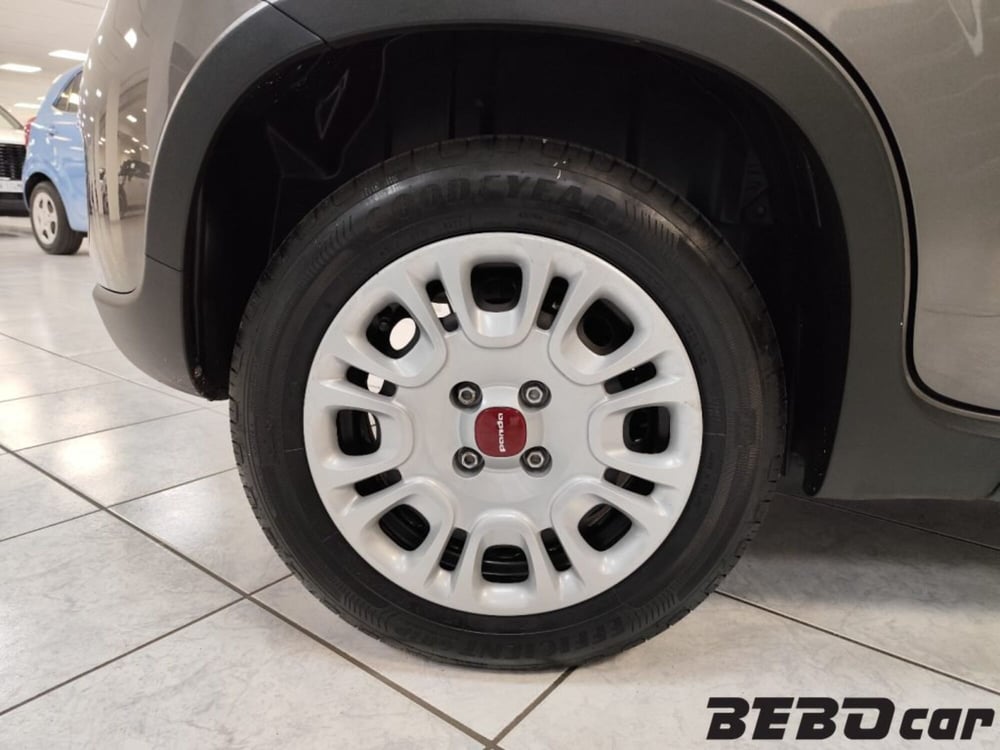 Fiat Panda usata a Torino (10)