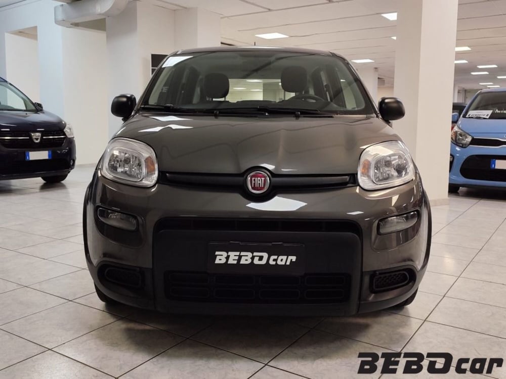 Fiat Panda usata a Torino (2)