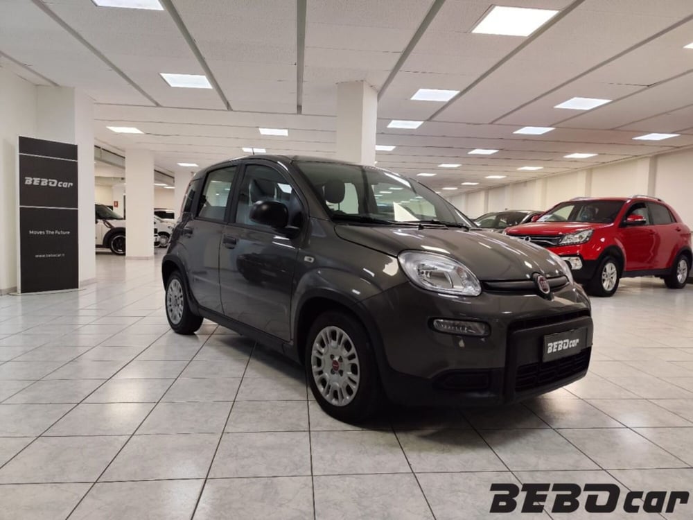 Fiat Panda usata a Torino (3)