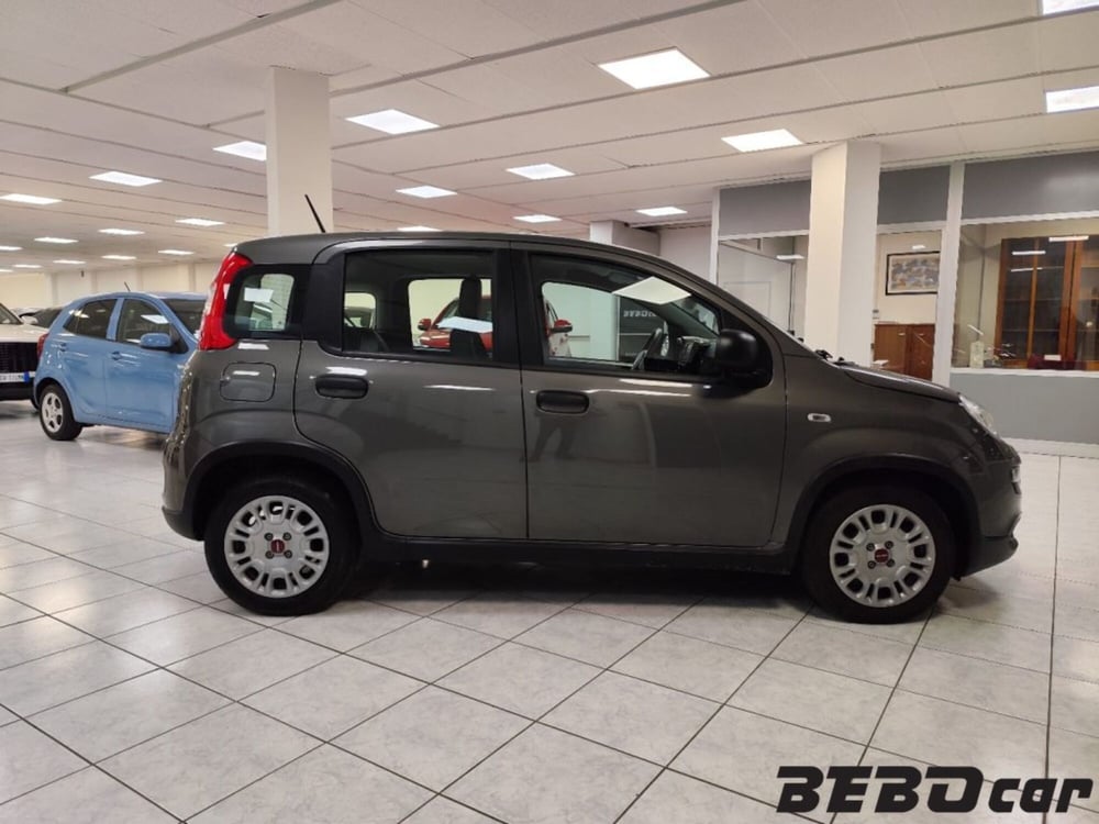Fiat Panda usata a Torino (4)