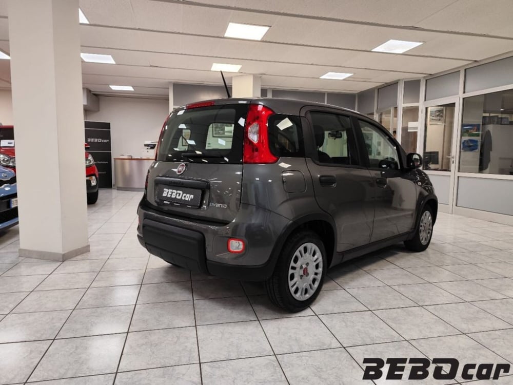 Fiat Panda usata a Torino (5)