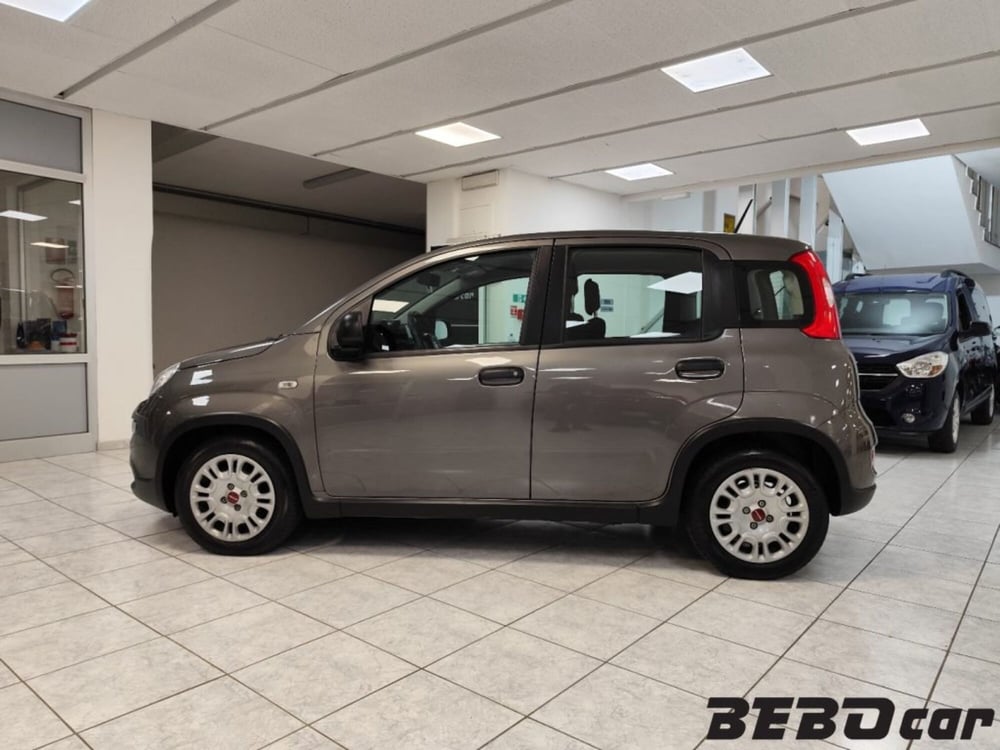 Fiat Panda usata a Torino (9)