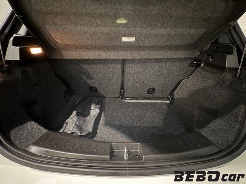 Lancia Ypsilon usata a Torino (17)