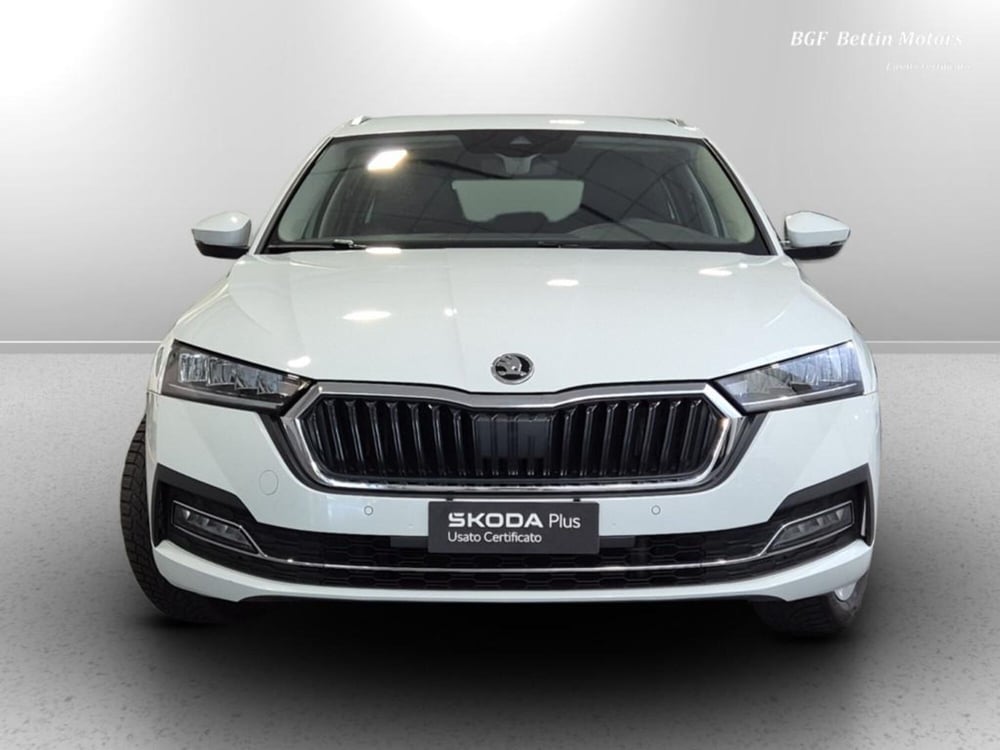 Skoda Octavia Station Wagon usata a Padova (7)