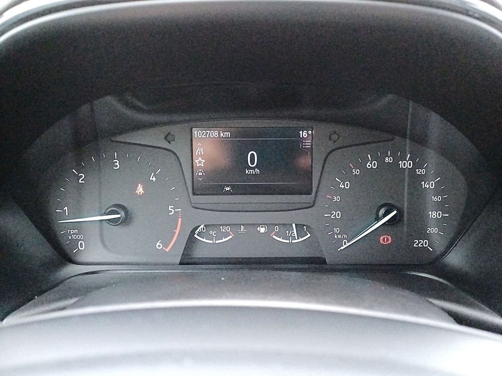 Ford Fiesta usata  (19)