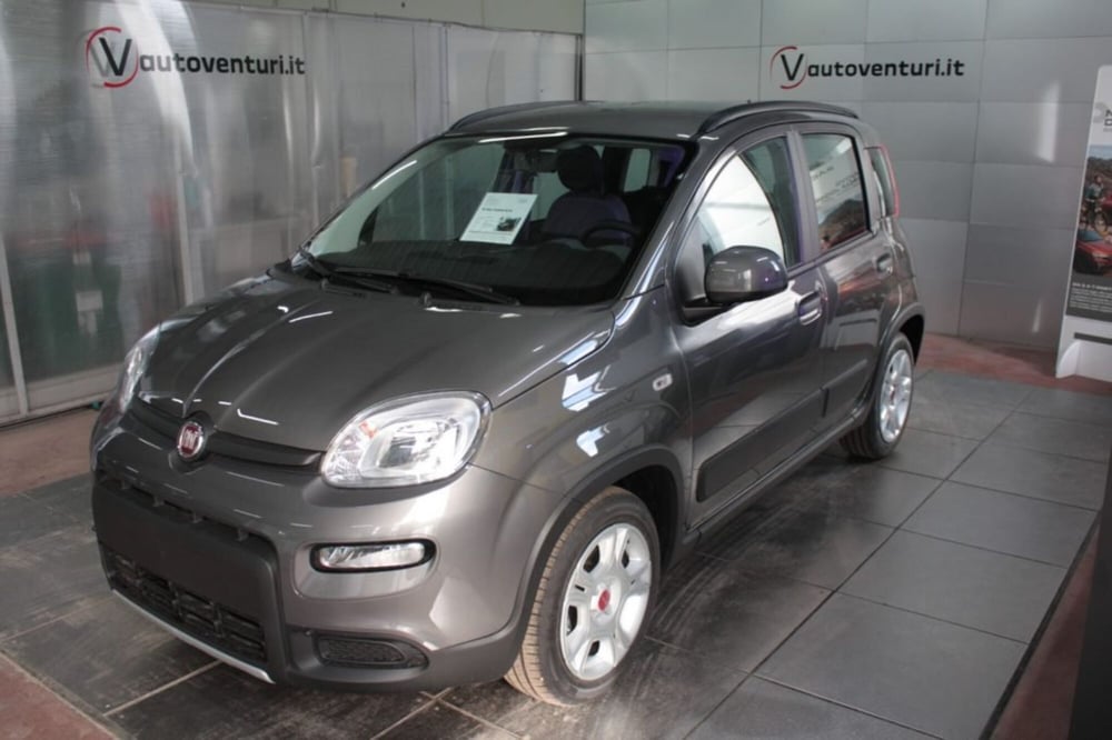 Fiat Panda nuova a Viterbo (3)