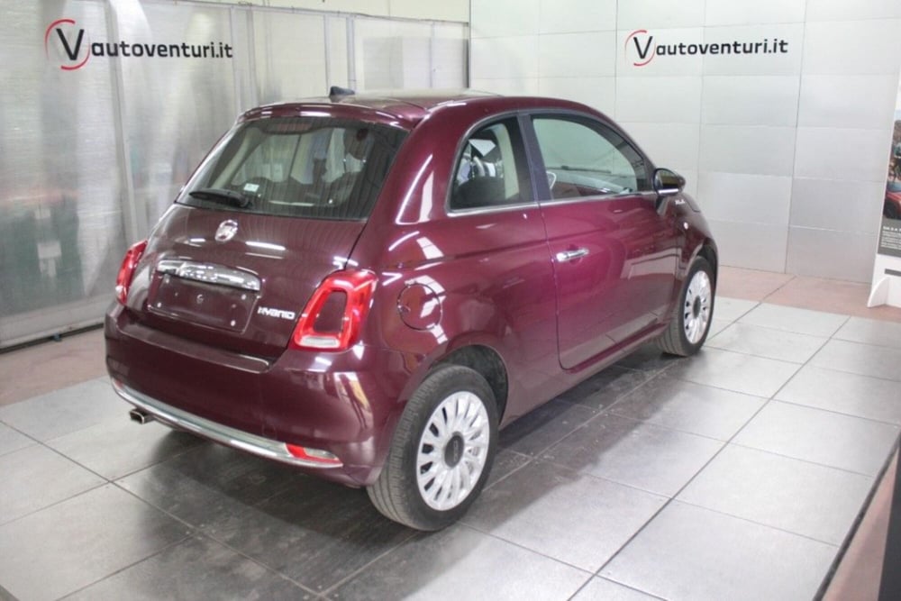 Fiat 500 usata a Viterbo (4)