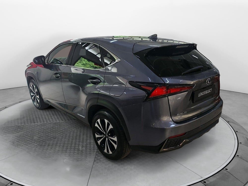 Lexus NX usata a Bologna (4)