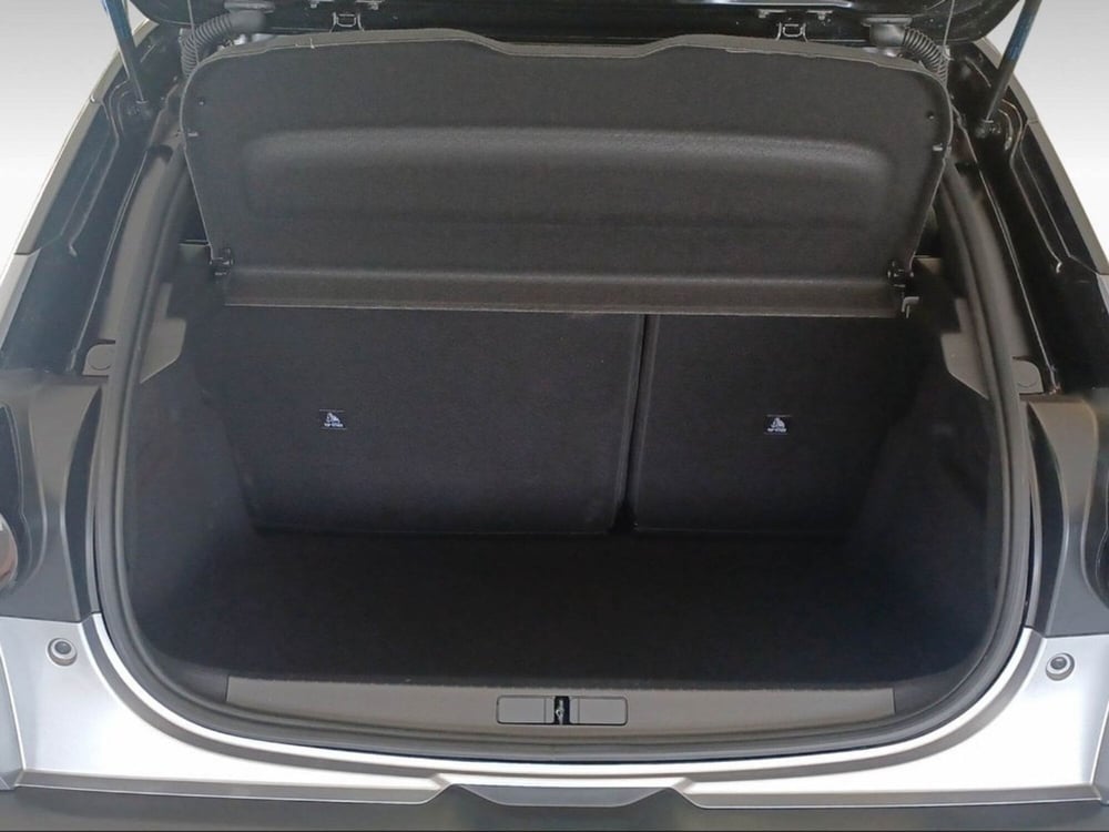 Lancia Ypsilon usata a Siena (16)