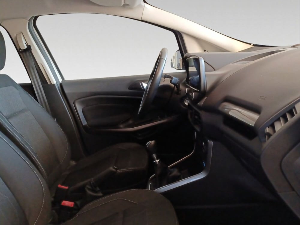 Ford EcoSport usata a Siena (15)