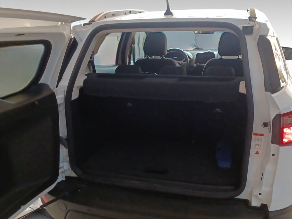 Ford EcoSport usata a Siena (18)