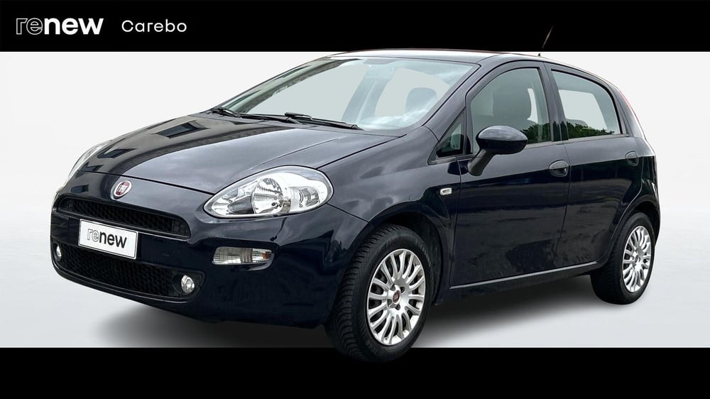 Fiat Punto usata a Parma