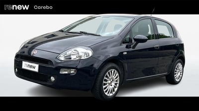 Fiat Punto 1.2 8V 5 porte Young del 2016 usata a Parma
