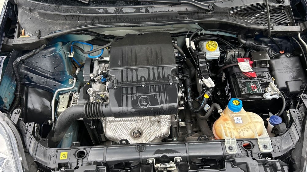 Fiat Punto usata a Parma (19)