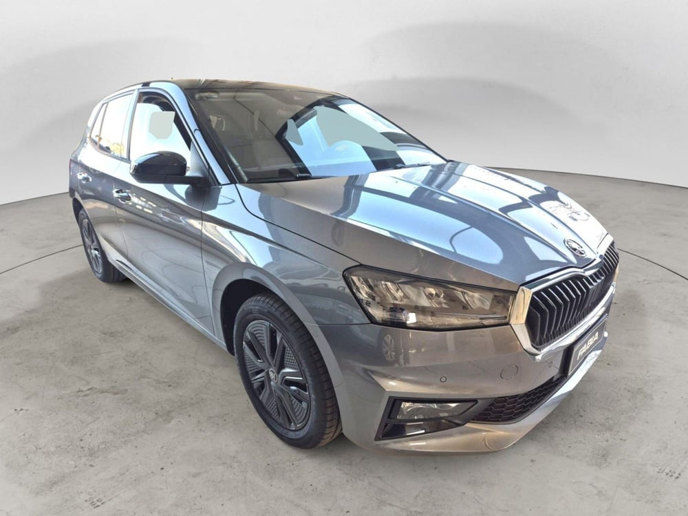 Skoda Fabia nuova a Torino