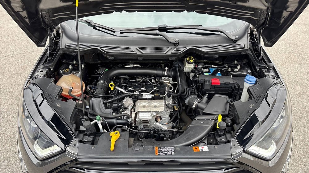 Ford EcoSport usata a Treviso (18)