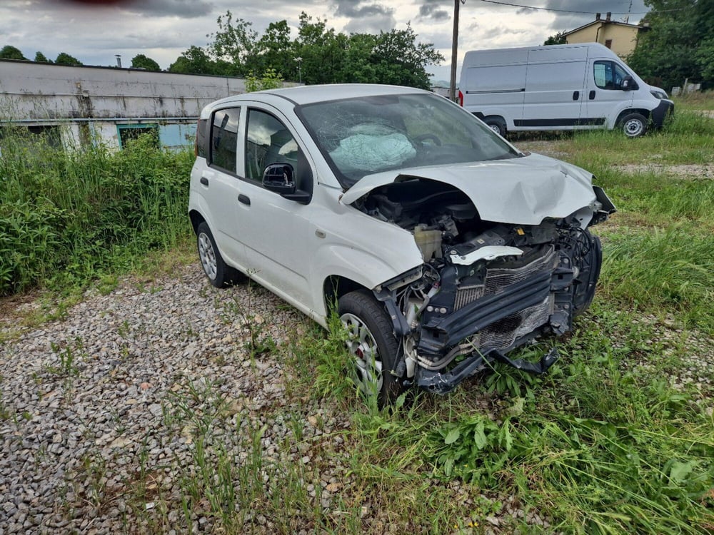 Fiat Panda usata a Arezzo (2)